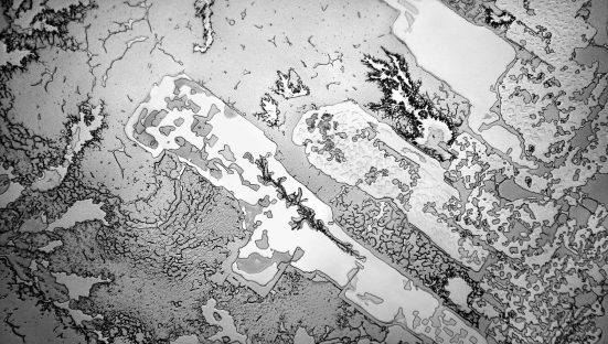 12_fisher_timelessreunion